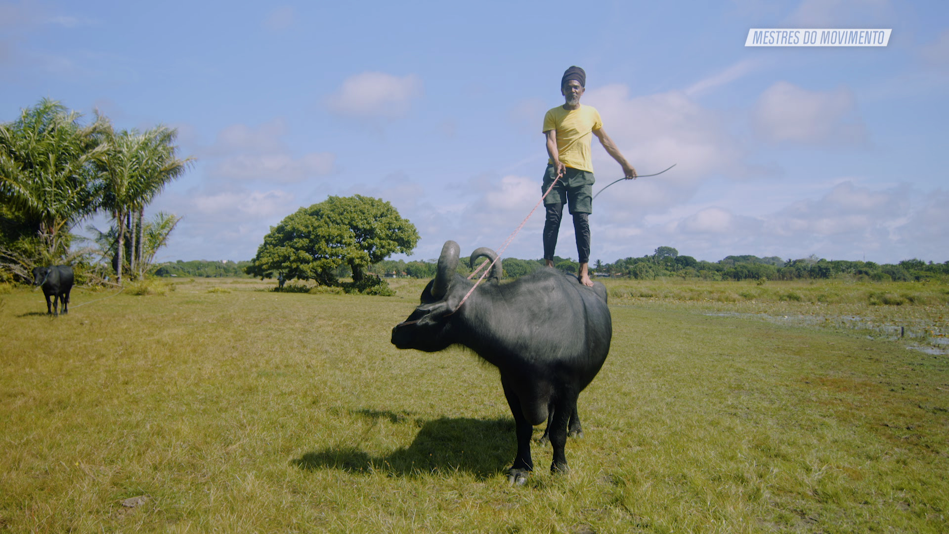 Imagem Mestres do Movimento